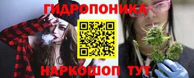 ПСИЛОЦИБИНОВЫЕ ГРИБЫ Новозыбков